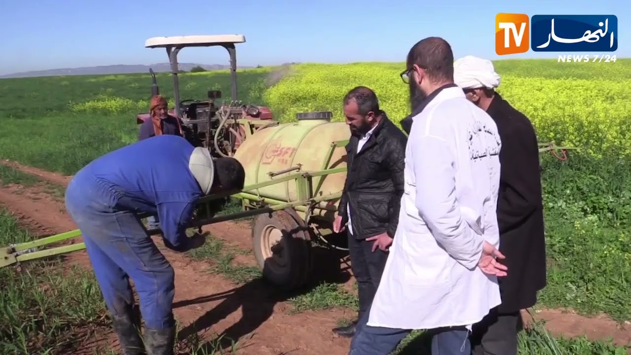 غليزان: اتباع المسار التقني.. ضمان لمردود جيد في إنتاج الحبوب