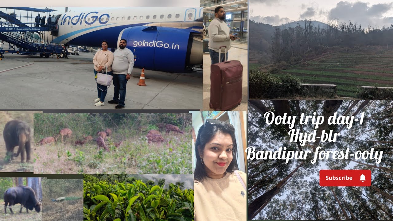 Hyderabad-banglore-ooty trip ✈️ Bandipur forest experience day-1