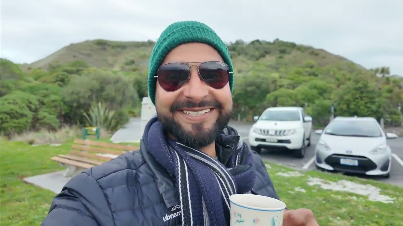 Kaikoura Seal colony