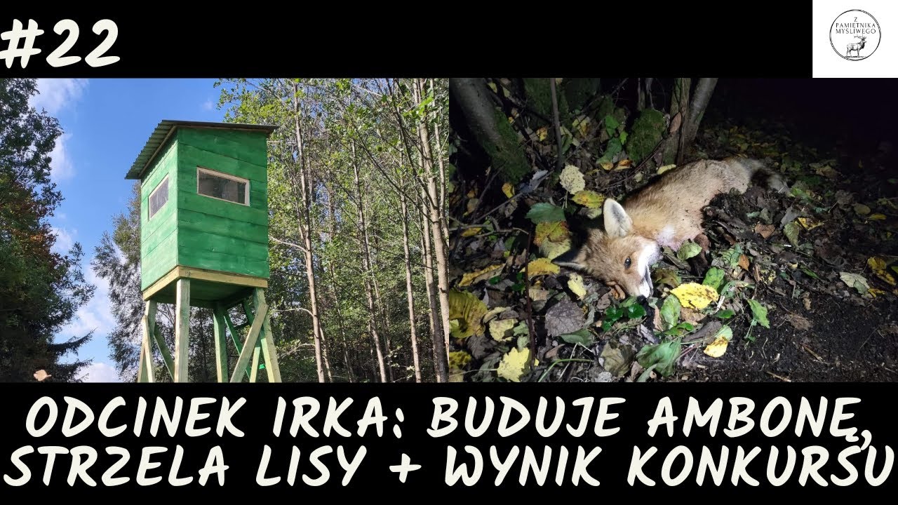 Z Pamiętnika Myśliwego #22 Odcinek Irka: buduje ambonę, strzela lisy + wynik konkursu. (foxhunting)