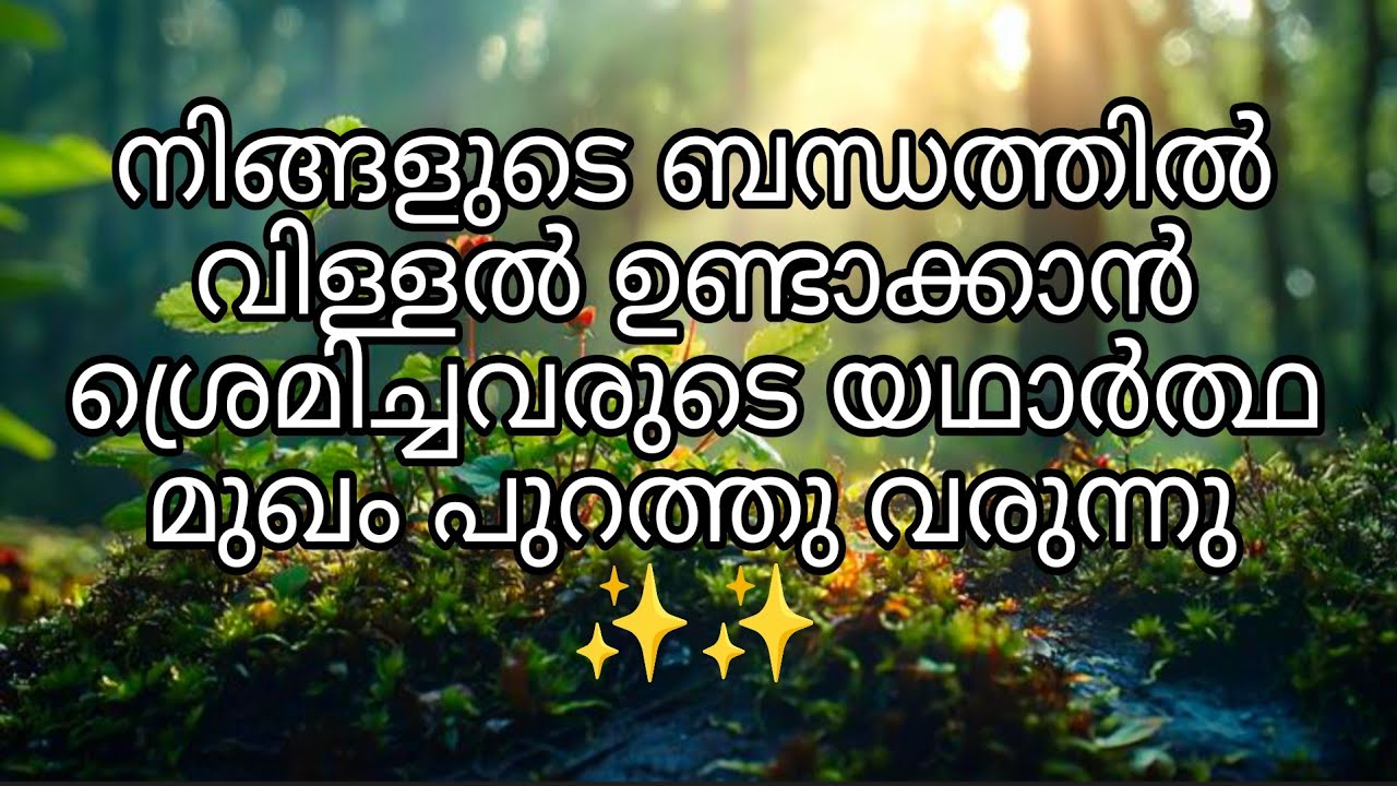 നിങ്ങളുടെ ബന്ധത്തിൽ വിള്ളൽ ഉണ്ടാക്കാൻ ശ്രെമിച്ചവരുടെ യഥാർത്ഥ മുഖം പുറത്തു വരുന്നു ✨✨