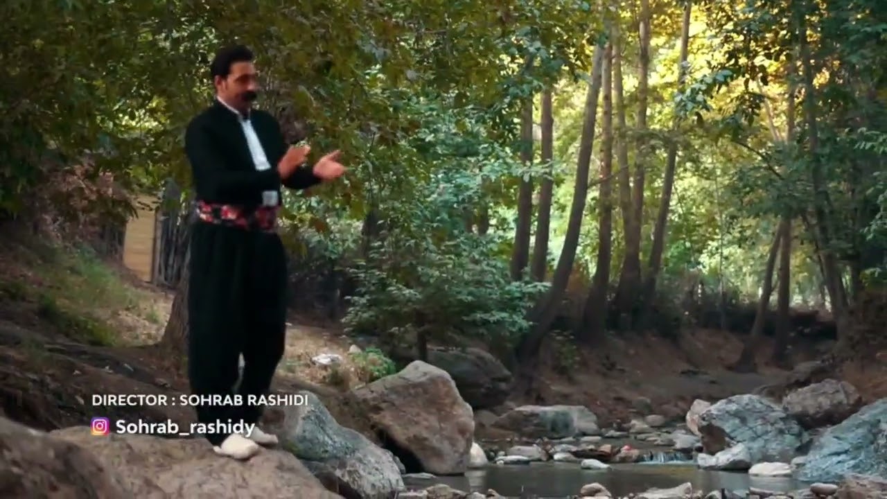 هنرمند شهاب حقی
