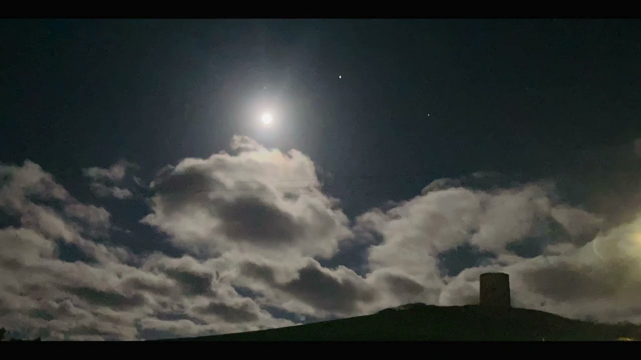 Cub Reporter - In The Starlight