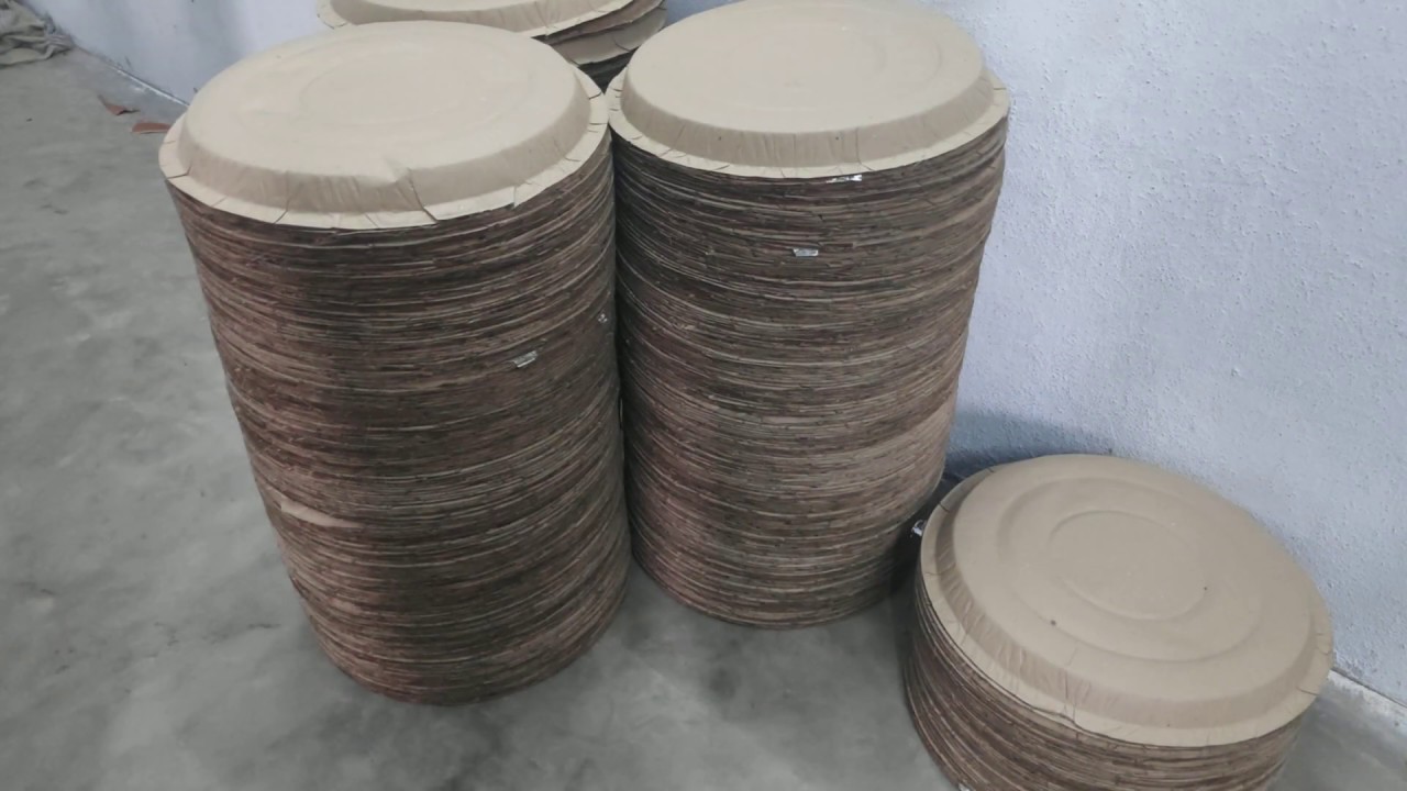 Automatic paper plate machine