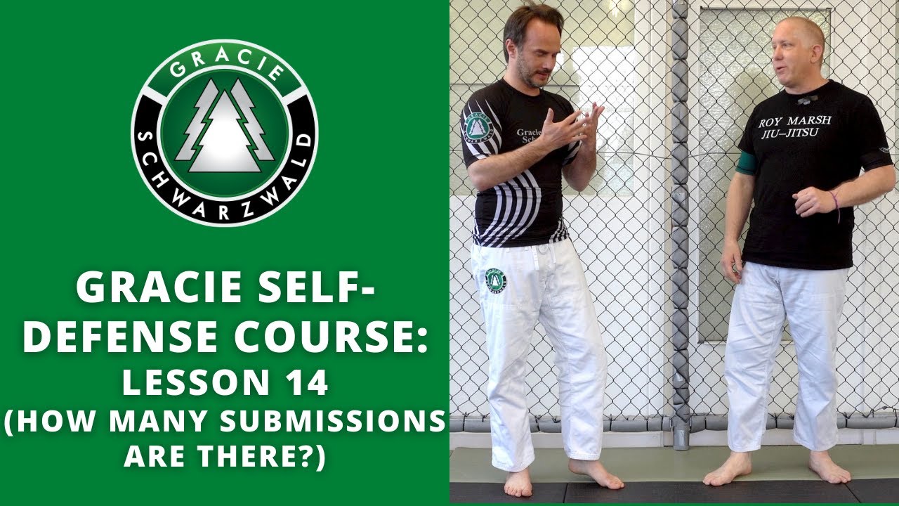 BJJ Self-Defense Course | Lesson 14: How Many Submissions Are There?