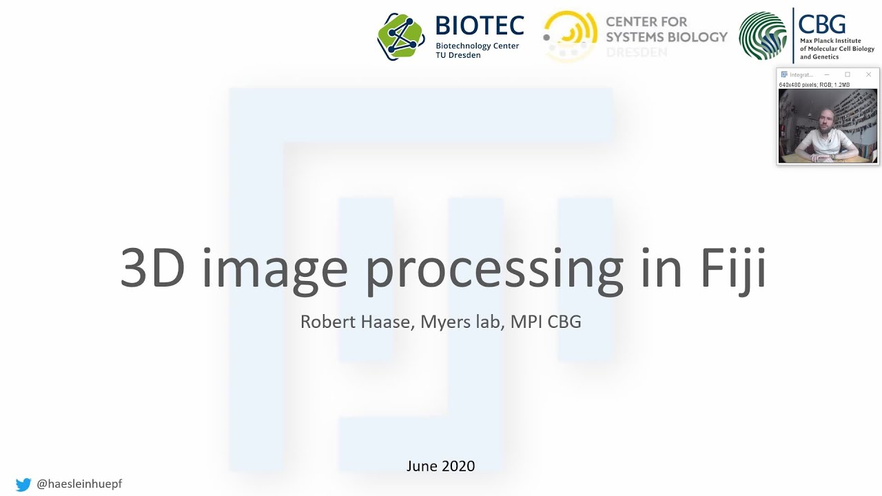 12c 3D Image Processing in Fiji
