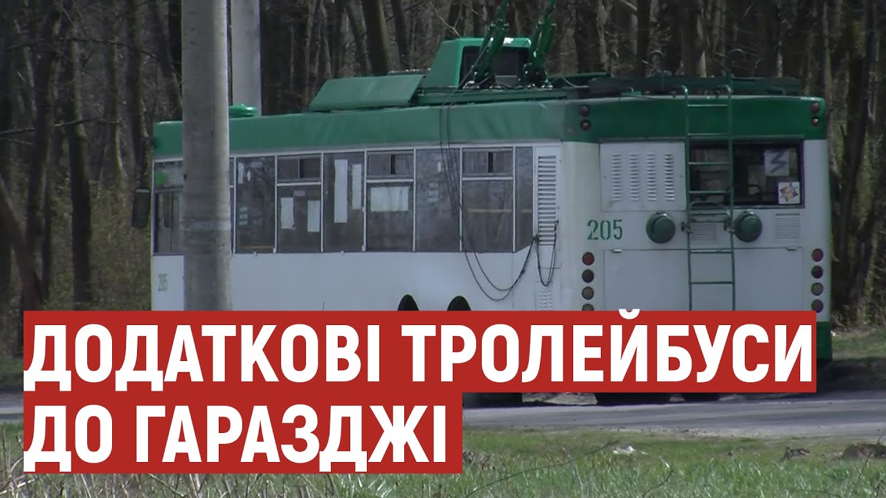Лучани просять пустити додаткові тролейбуси до міського кладовища: що кажуть у Луцькій міській раді
