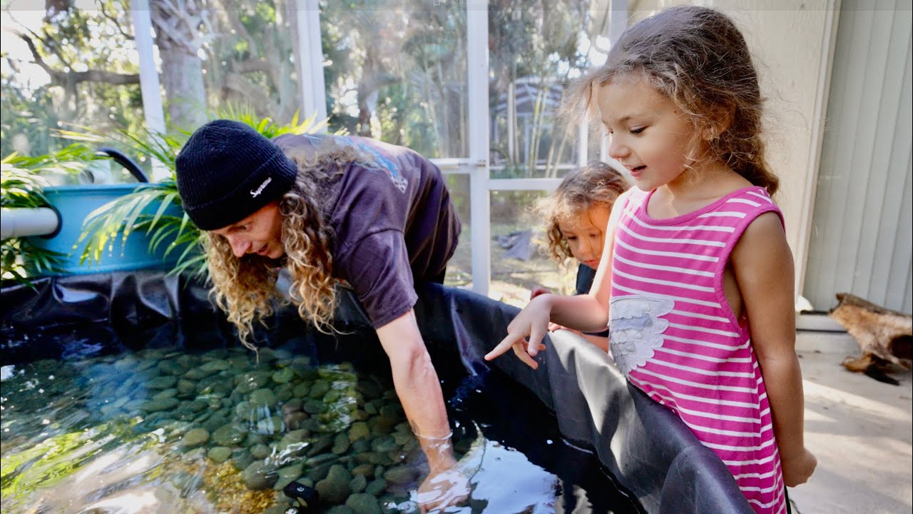 We Put New Fish In Our Backyard Pond!