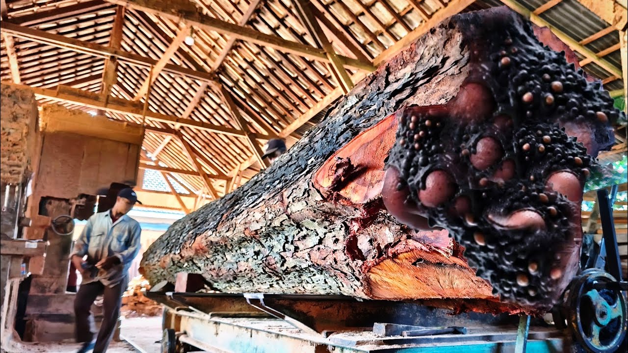 Serangan besar di tempat penggergajian kayu yang penuh kengerian! Pabrik pengolahan kayu terbesar 