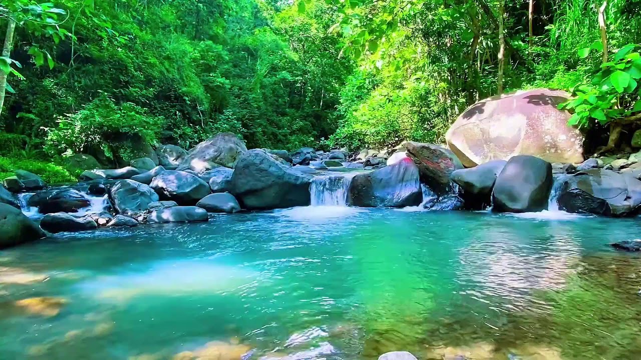 Forest River Soft Flow, Mountain Stream Sounds, Sleeping