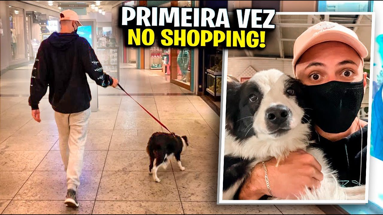 MEU CACHORRO CONHECEU O SHOPPING! | O MUNDO DE SIMBA #12