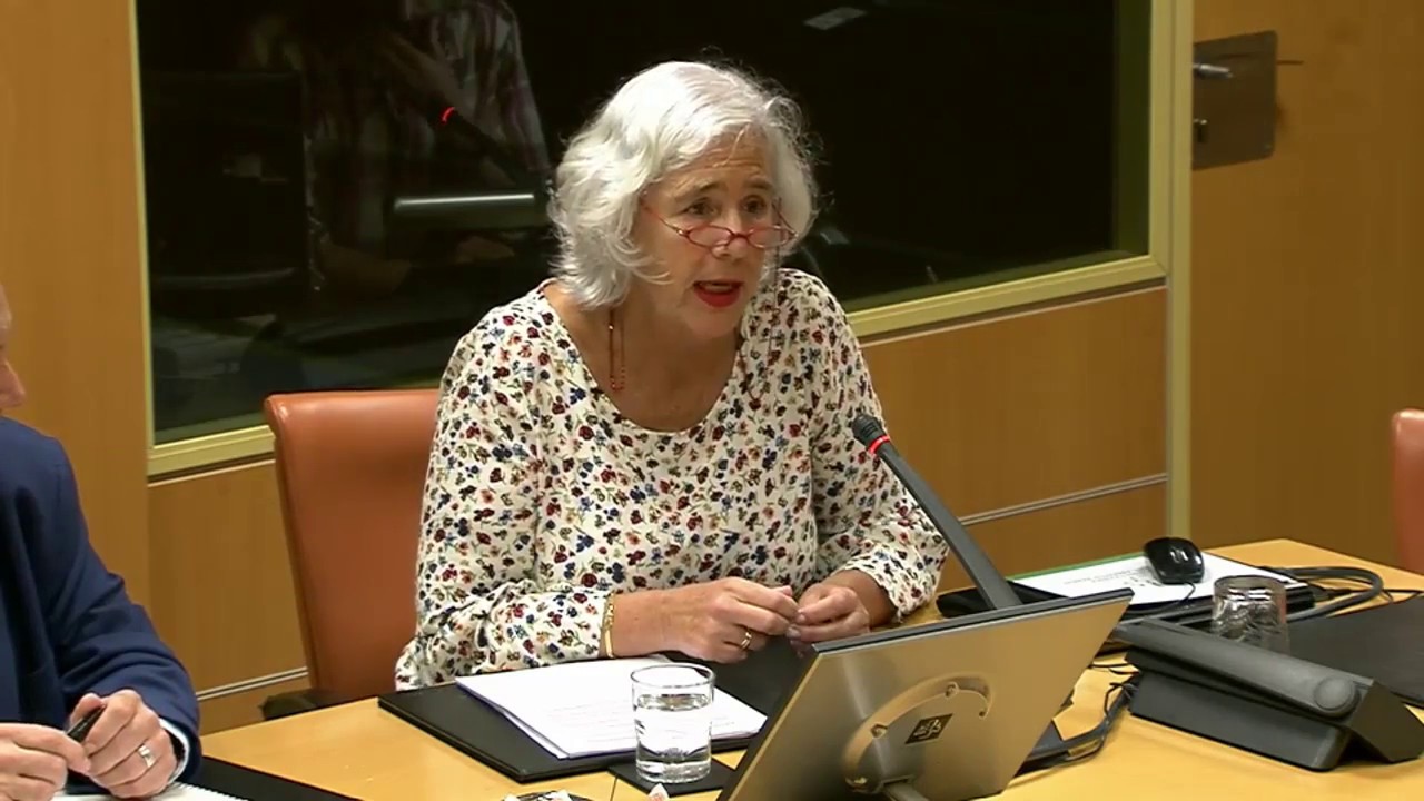 Intervención de Garbiñe Biurrun en la ponencia de autogobierno del Parlamento Vasco