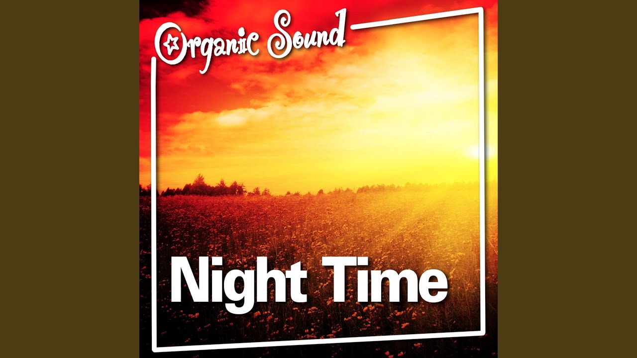Evening Cricket Chorus of Nature Sound for Deep Sleep and Relaxation