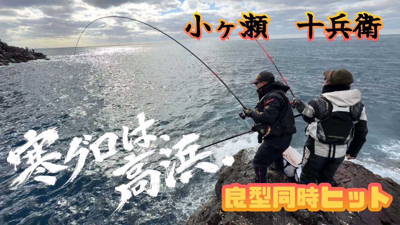 【寒グロは、高浜。】良型連発！十兵衛はいい感じで釣れてます。