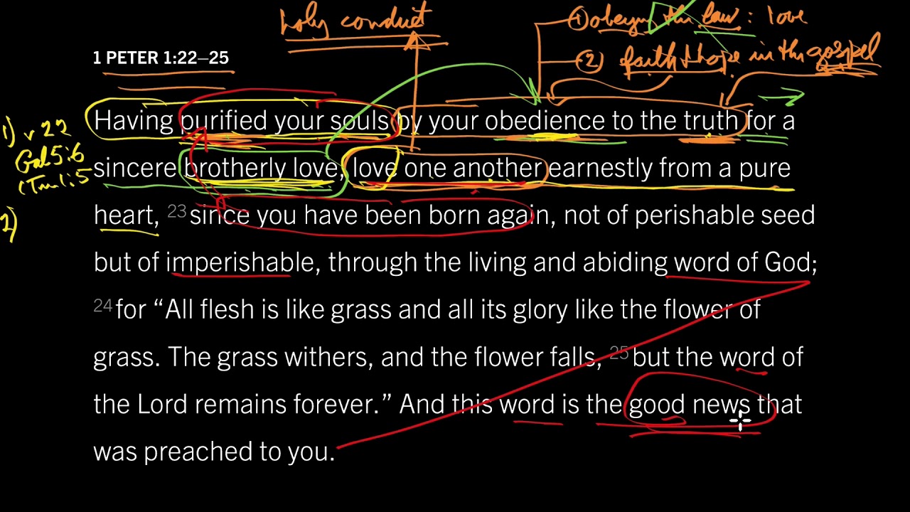 How God Purifies Our Souls from Sin: 1 Peter 1:22–25, Part 1