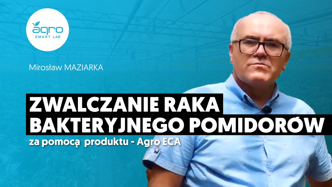 Zwalczanie Raka Bakteryjnego Pomidor&oacute;w Za Pomocą Produktu - Agro ECA