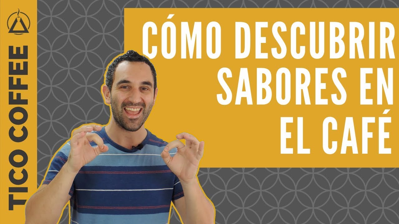Cómo ser un CATADOR DE CAFÉ: saber describir los sabores del café