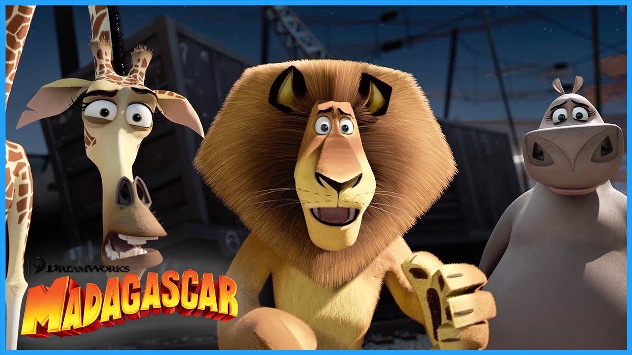 Meet the Gang! 🦁🦒🦛 | DreamWorks Madagascar