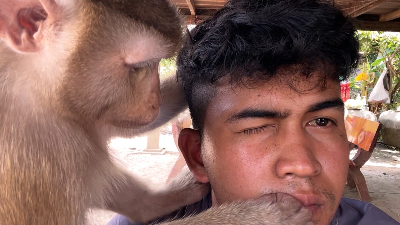Little Monkey Zueii Precision Acne Cleaning Ritual For Ultimate morning Relaxation