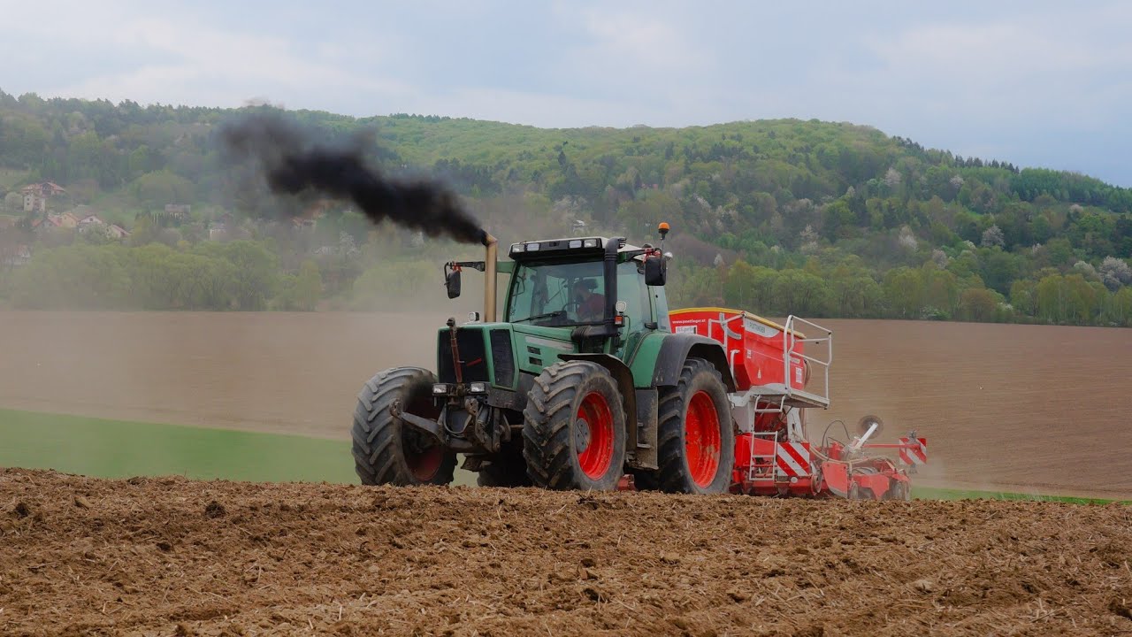 ⛔Siew Soi⛔Fendt Dostaje Po Garach⛔Gr Korytniki⛔ Rolnik z Podkarpacia⛔Fendt Favorit 824 ⛔