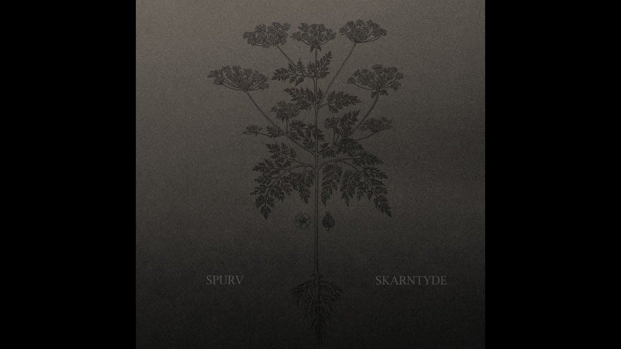 Spurv - Skarntyde (FULL ALBUM)
