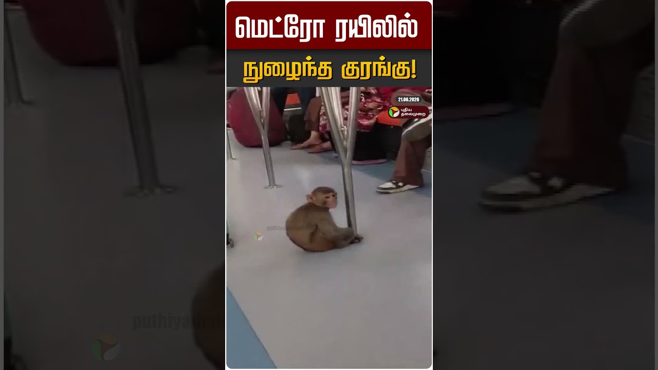 மெட்ரோ ரயிலில் நுழைந்த குரங்கு! | Delhi Metro Rail