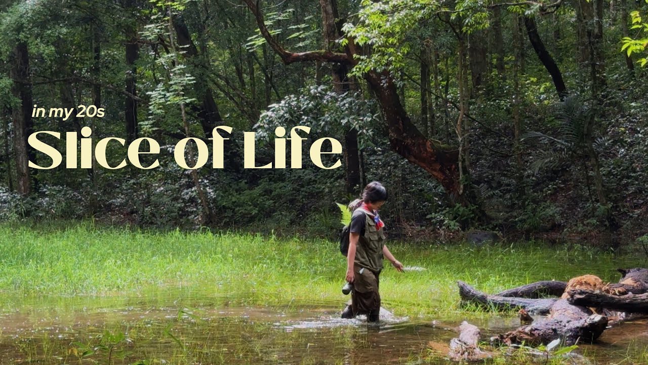 nước mình cũng có hang động núi lửa đó (trekking vlog)
