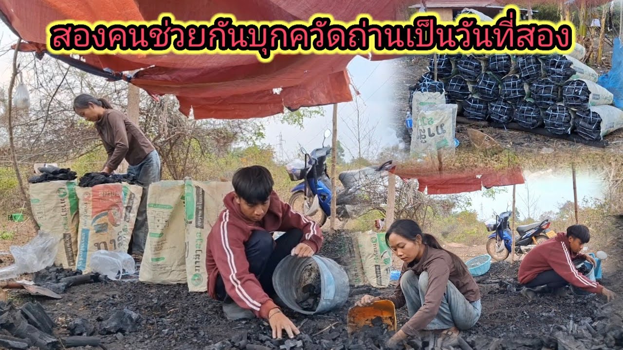 ควัดถ่านสองวัน มาดูกันว่าจะได้กี่กระสอบ บุกสองคน  26 กุมภาพันธ์ ค.ศ. 2026