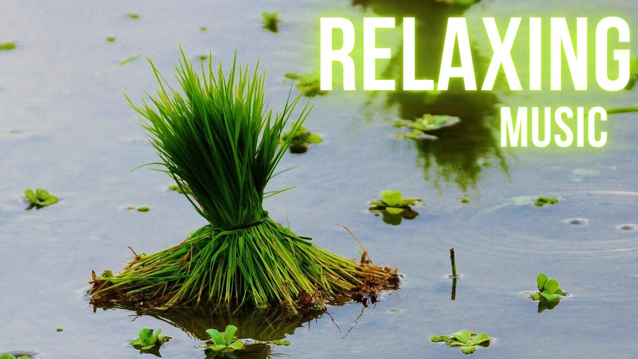 Relaxing music 2026 /Best Piano sound for relaxing