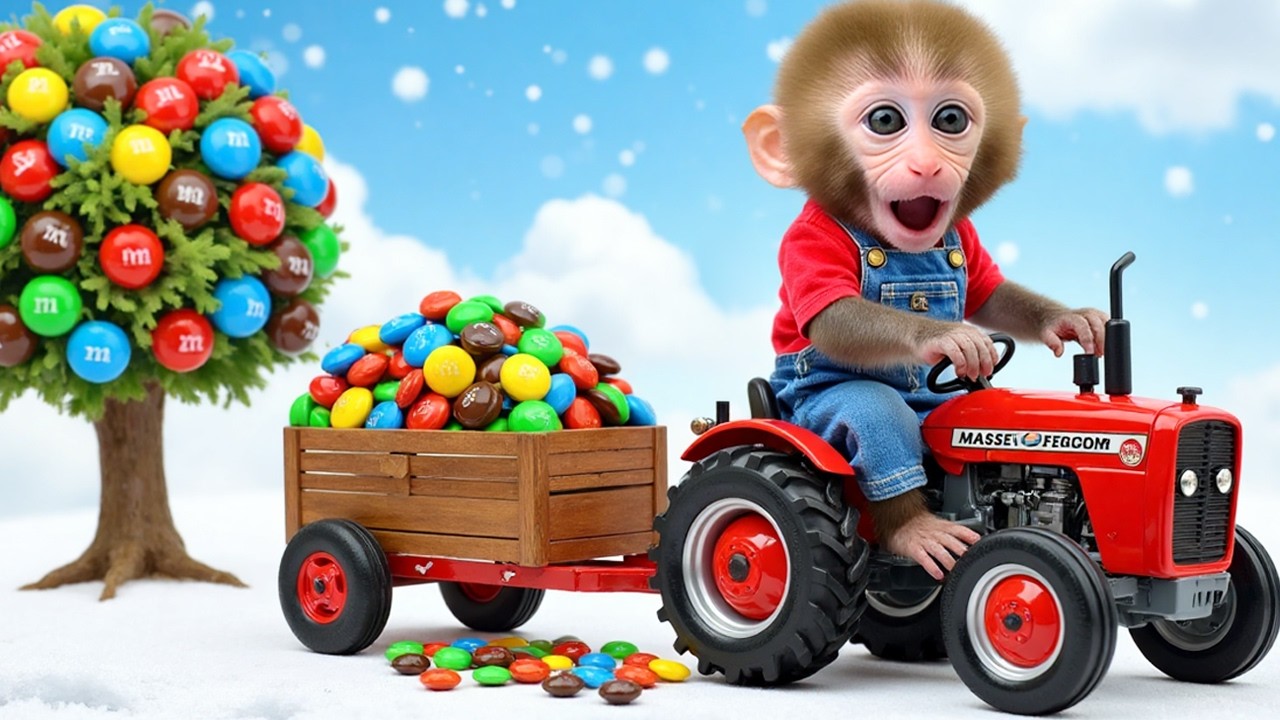 Monkey Nana drives a tractor through the snowstorm to build a cozy fireplace.