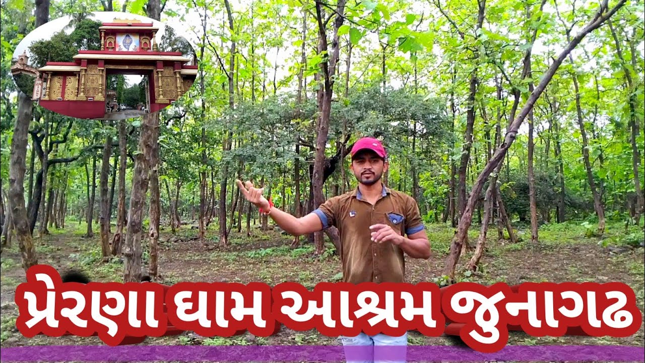 🙏 Prernadham ashram junagadh 💐પેરણા ઘામ |  Best dharamshala in junagadh