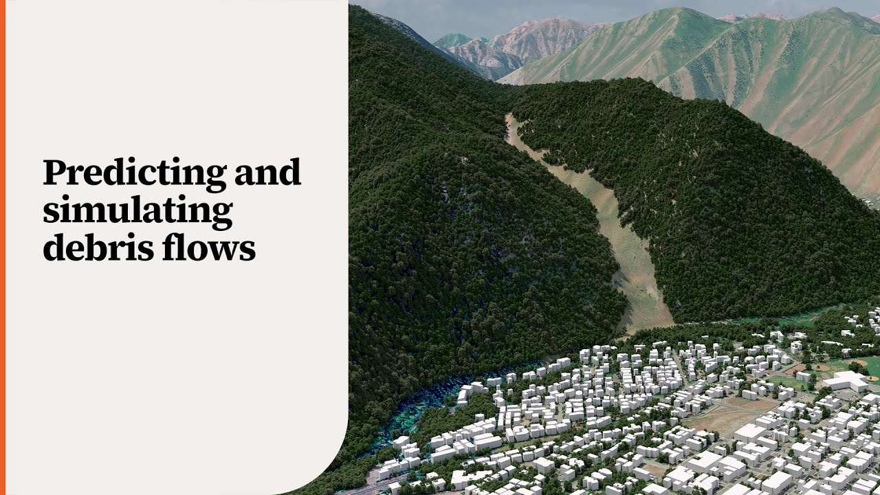 DebrisFlow Predictor: A tool that simulates the complex behavior of debris flows