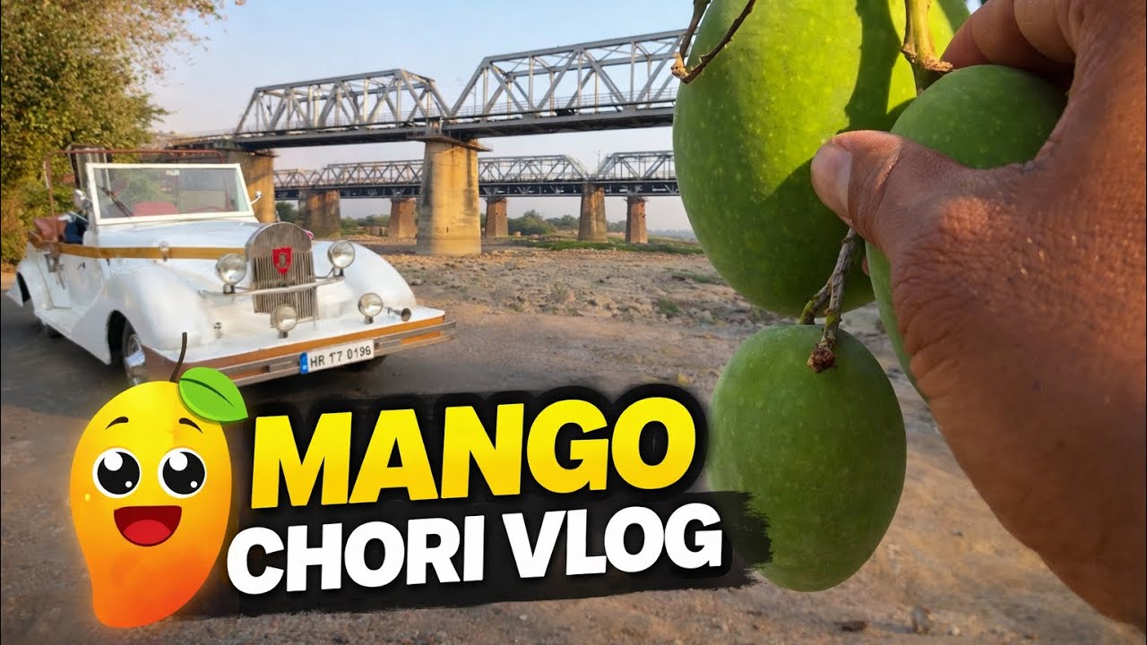 Mango Chori Vlog || आम चोरी व्लॉग 🥭😄|| Shivnath nadi Durg || Bhilai || Raipur ||