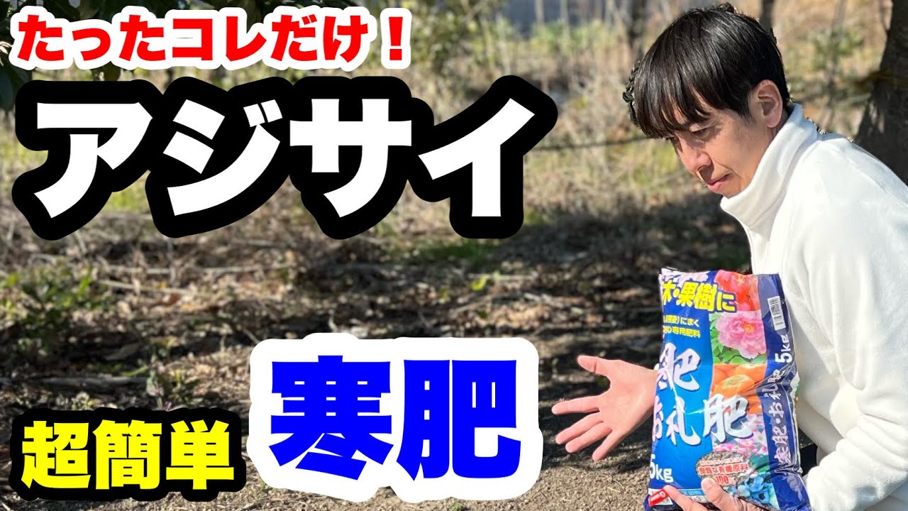 ■こんな方法あったんだ！超時短の【寒肥】