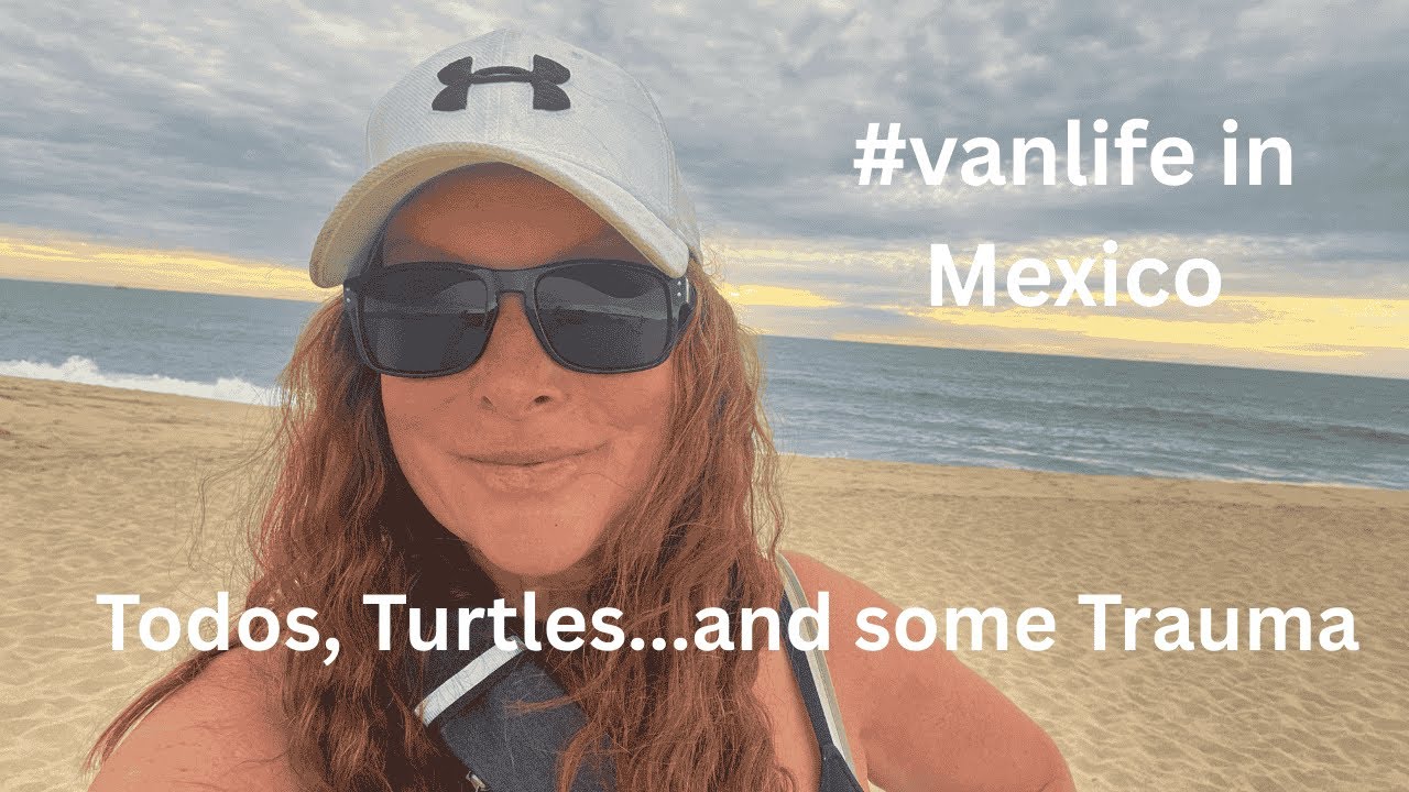 Turtle Rescue ...and Some Wild Dog Trauma