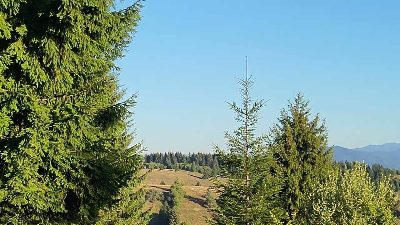 Teknival Romania  2022 13.08.22 morning all sounds