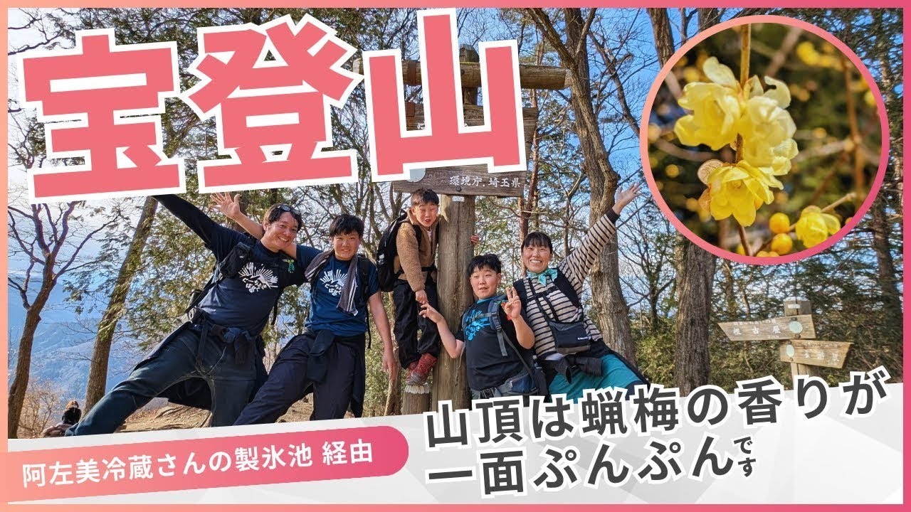 【宝登山】登山　長瀞駅から天然氷の氷池を見ながらロウバイの咲く山頂を目指す家族登山