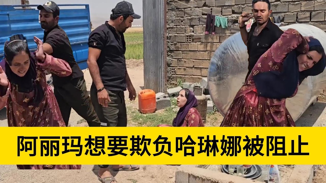 米拉德和哈琳娜最新后续，阿丽玛想要欺负米拉德的家里人，被米拉德给揍了