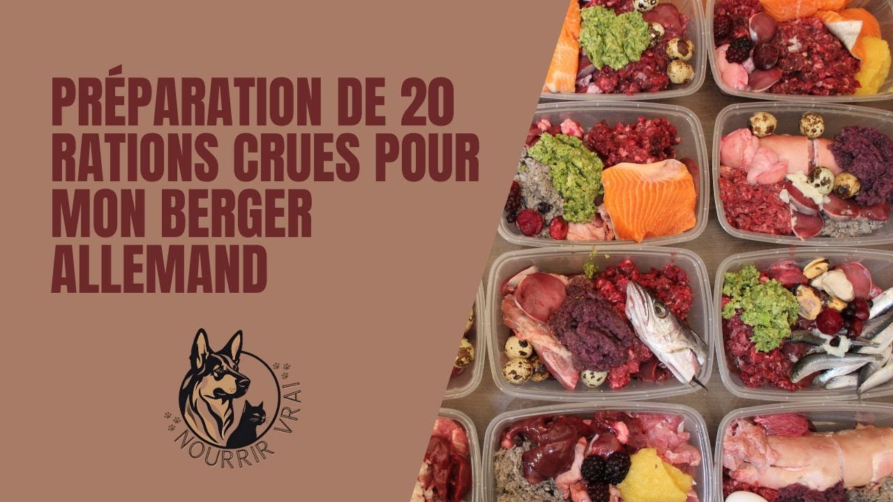 Je prépare 20 repas crus colorés et variés pour mon chien / BARF / PMR / Raw feeding / ASMR