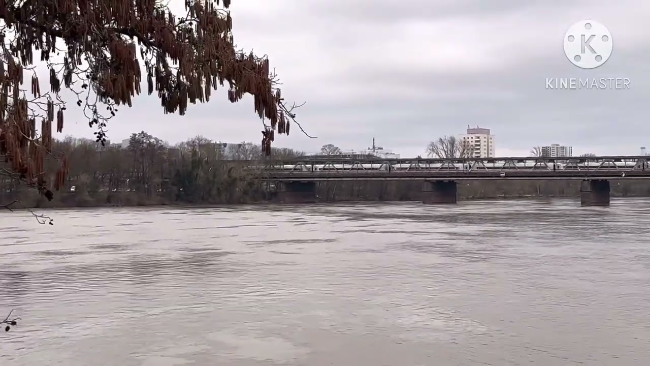 Frankfurt am Main 