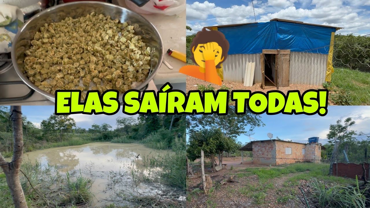 COMO QUE  SÓ SOUBEMOS DISSO AGORA! ELAS SAIRAM TODAS!TA TRASBORDANDO! #viral  cantinho da Malu 