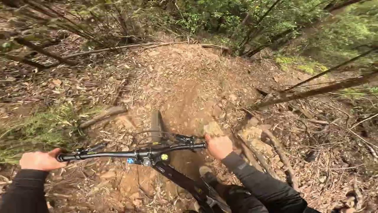 IS THIS THE STEEPEST TRACK IN AUS | Carnage on chossy dh blue range 