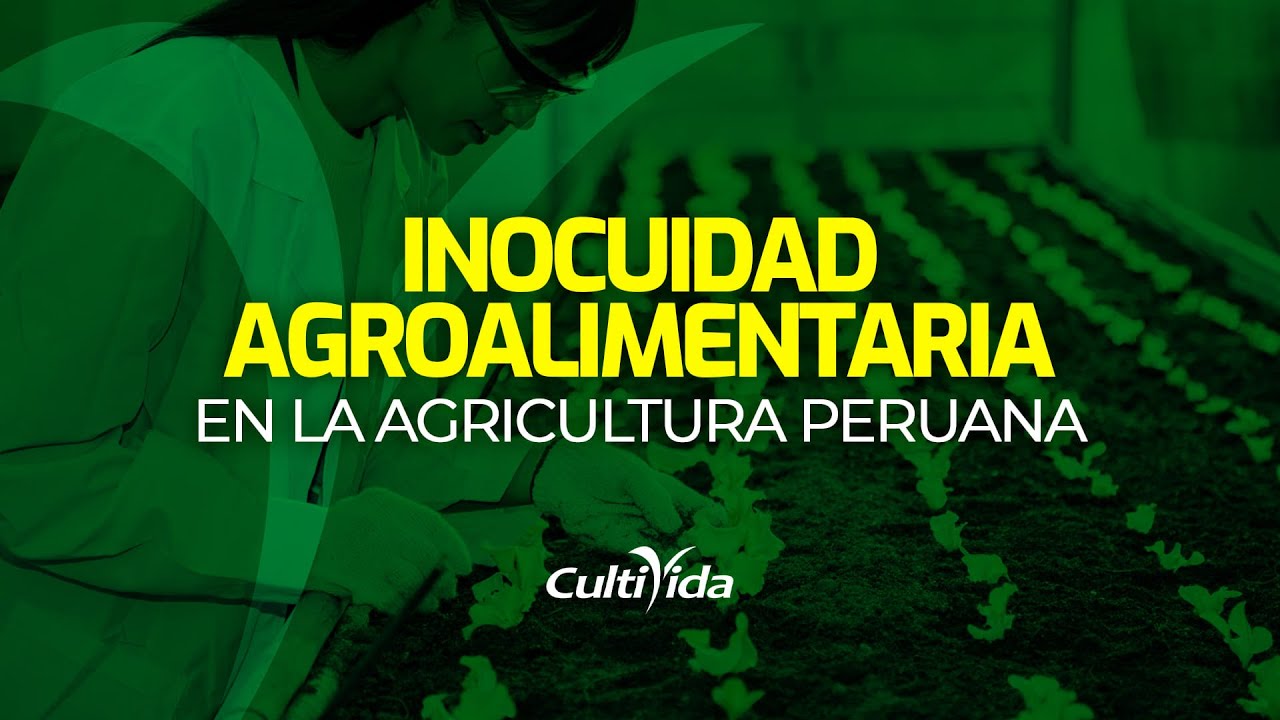 INOCUIDAD AGROALIMENTARIA 🥑🍓🍅🍐🍏🍎🍌🍍🥕 EN LA AGRICULTURA PERUANA
