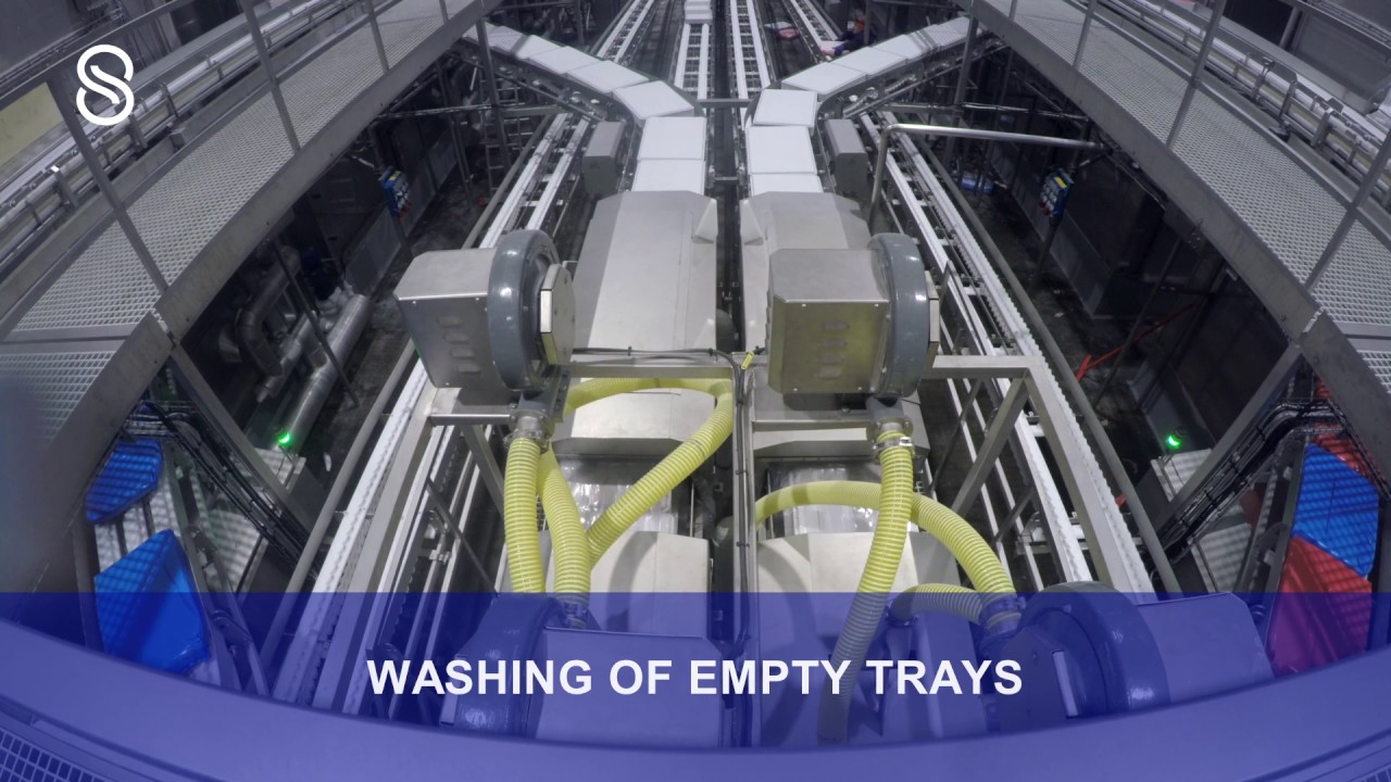 Skaginn 3X - Eskja: Complete Automatic Pelagic Processing Plant (5 min)