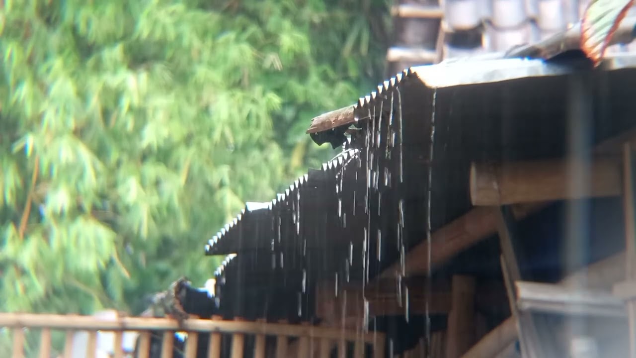 Heavy Rain & Thunderstorm Sounds for Stress Relief and Deep Sleep