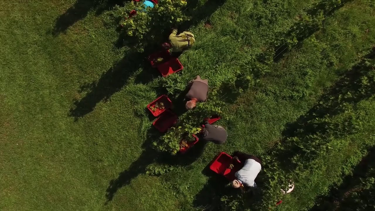 Weingut Erich & Walter Polz &ndash; in der Schweiz bei bei Baur au Lac Vins