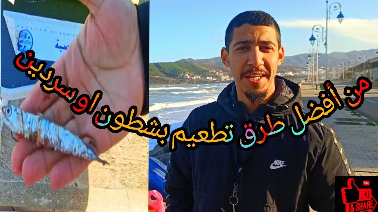 من افضل طرق تطعيم بسردين او شطون طريقة فعالة وفرجة ممتعة ولا تنساو الاشتراك في القناة والبارطاج وشكر
