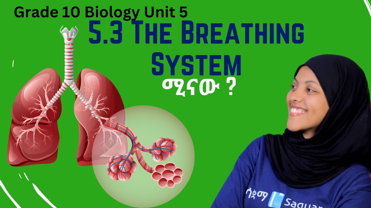 Grade10 Biology Unit 5:5 .3 The Breathing System | Saquama