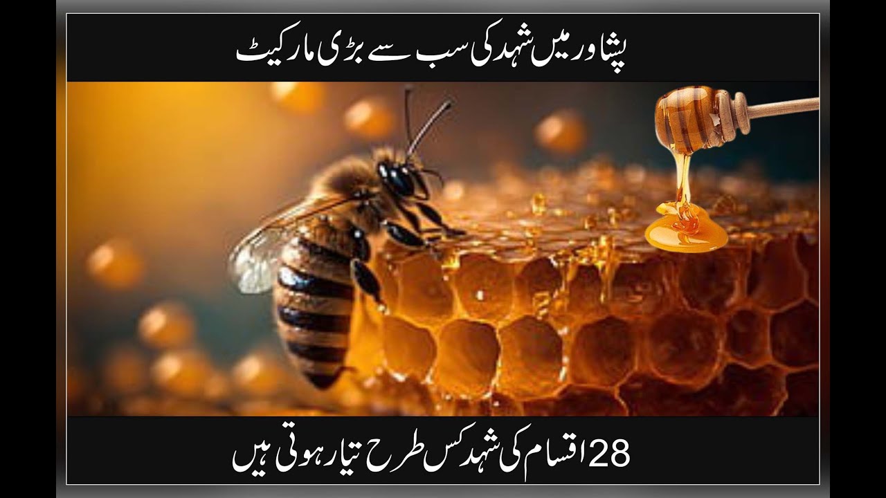 HOW TO MAKE HONEY  WORLD LARGEST MARKET PESHAWAR