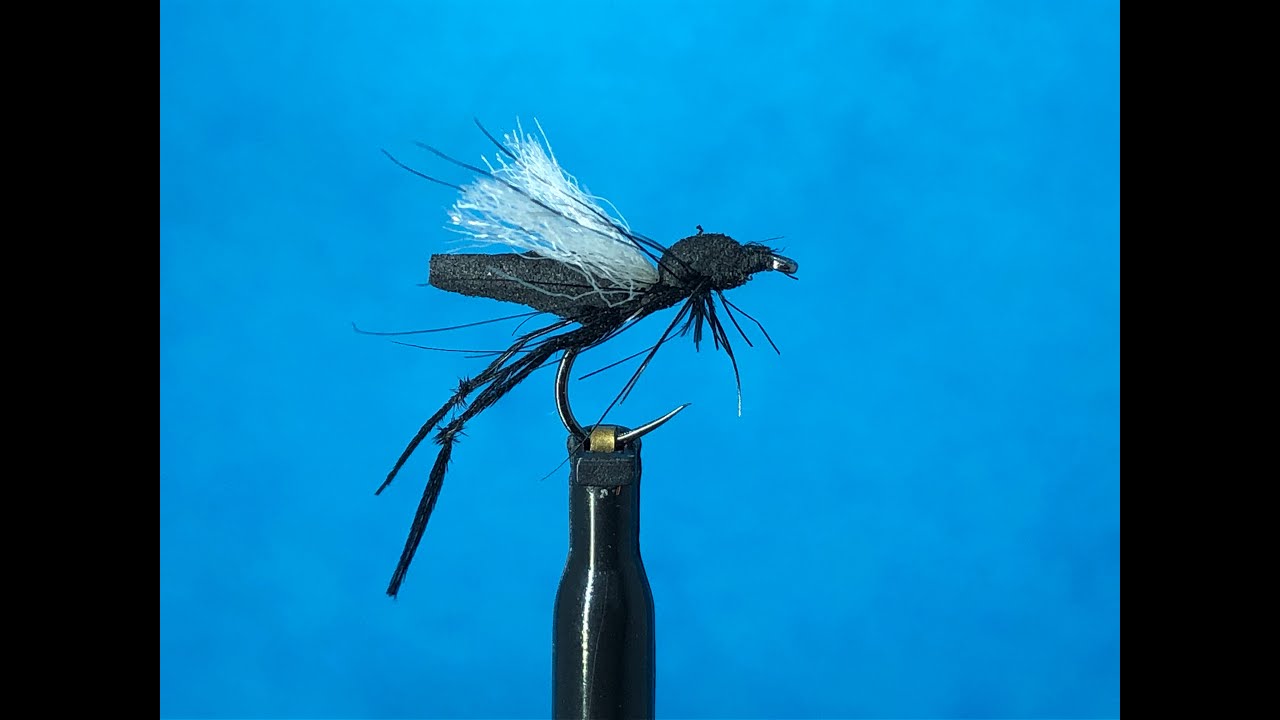 Montage d'un Bibio Marci